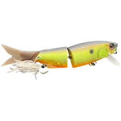 ILLEX Maekon Jr.SF Wuddy roach