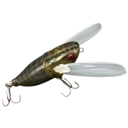 ILLEX SUISEN Lake Hibara Spring Cicada