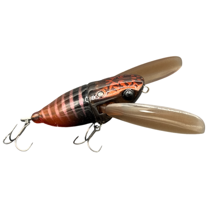 ILLEX SUISEN Lake Nojiri Spring Cicada