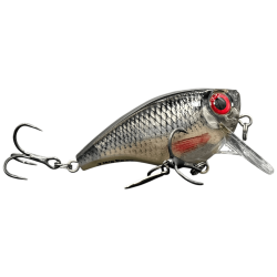 RAPALA BX BIG BRAT 6 Live Roach