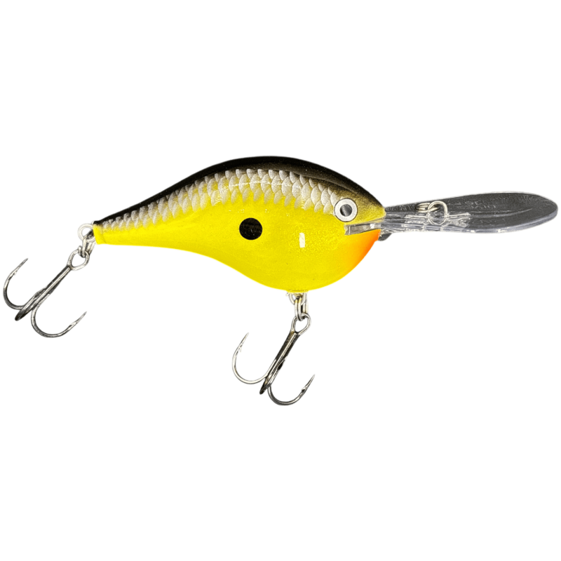 RAPALA DT SERIES Old School