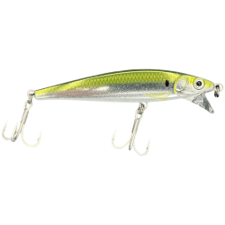 RAPALA X-RAP MAGNUM CAST Plichard