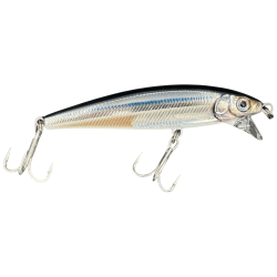 RAPALA X-RAP MAGNUM CAST Anchovy