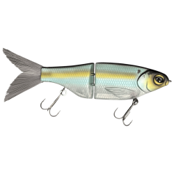 SPRO KGB CHAD SHAD 180 Gizzard Shad