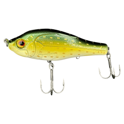 GUNKI OTACHI 100 S Pike