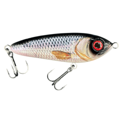 ABU GARCIA SVARTZONKER McTRACER 125 Real Roach