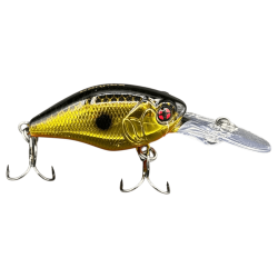 SAKURA SCB MICRO DIVER Black&Gold