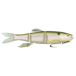 MEGABASS MAGDRAFT HASU RAVER MB Gizzard