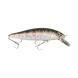SHIMANO PINSPOT 50S Real Bait