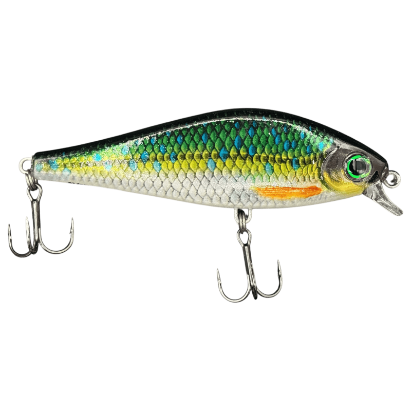 RAPALA SUPER SHADOW RAP 160SS Rock N Roach