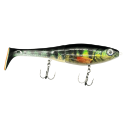 RAPALA X-RAP PETO 200 Live Perch