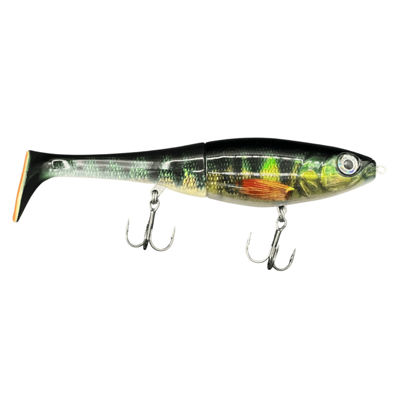RAPALA X-RAP PETO 200 Live Perch