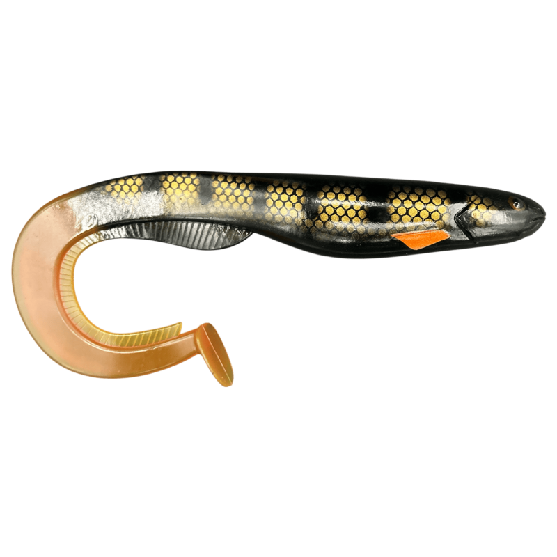 GATOR CATFISH Black Perch