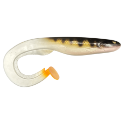 GATOR CATFISH Naturel Perch