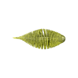 GEECRACK BELLOW GILL 3.8 #006