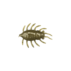 FISHUP MAYBUG 1" Green Pumpkin Seed #074