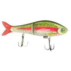 LIVE RAINBOW TROUT