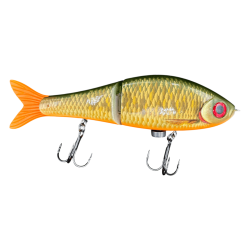 SCALED ROACH