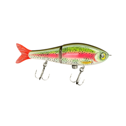 LIVE RAINBOW TROUT