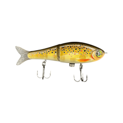 LIVE BROWN TROUT