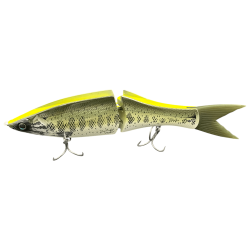 #003 SUNSHINE LARGE MOUTH