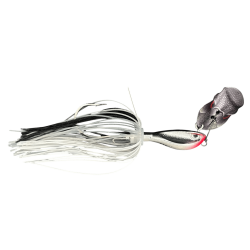 LIVE ROACH