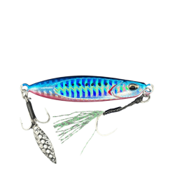 BLUE PINK SARDINE #PHA0187
