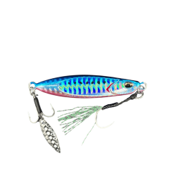 BLUE PINK SARDINE #PHA0187