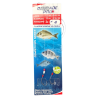 FLASHMER DAURADE PRO