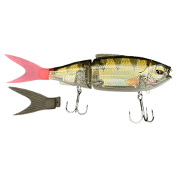 REAL PERCH
