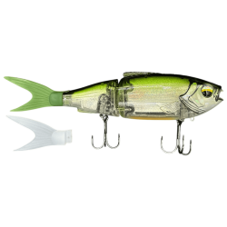 HOLO TENCH