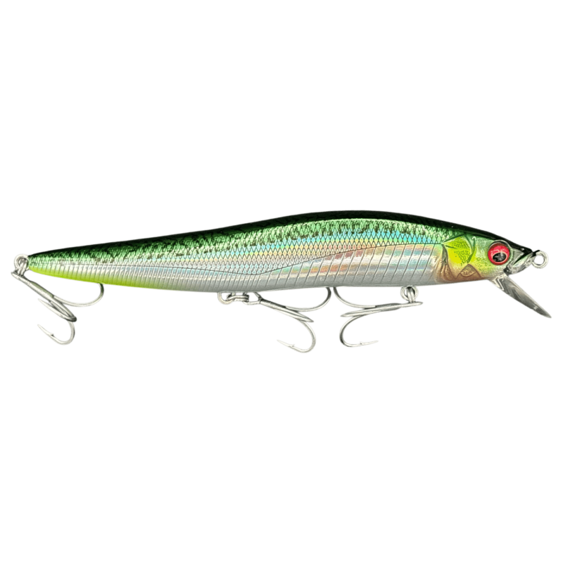 MACKEREL