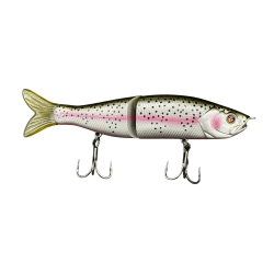 Rainbow Trout