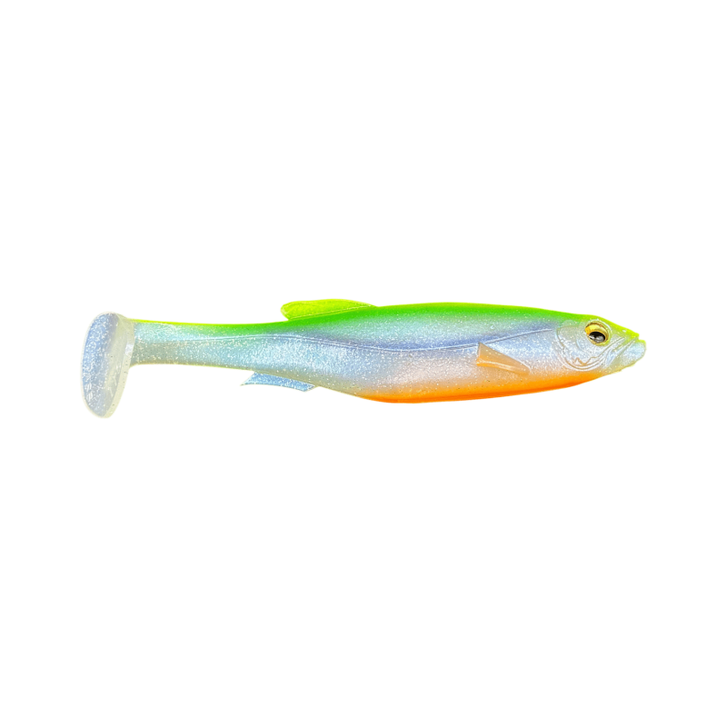 CHART BACK SHAD