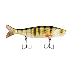 Perca