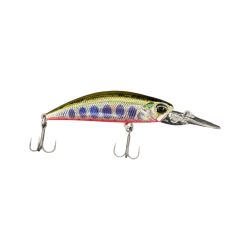 Yamame REd Belly
