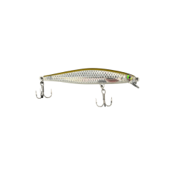 Live Roach