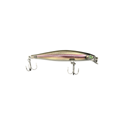 Live Smelt