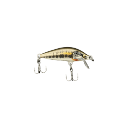 Gilded Minnow