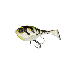 Tonosama frog