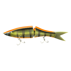 #203 GOLDEN PERCH H