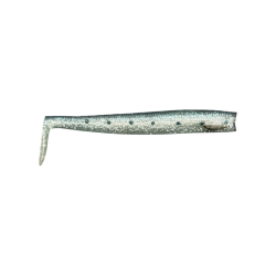 Sardine