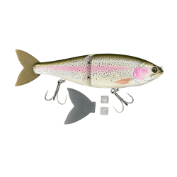 #31 EO TROUT