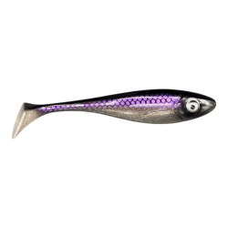 Pink Whitefish