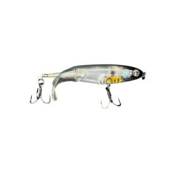 ABALONE SHAD
