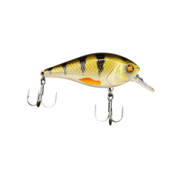 REAL PERCH