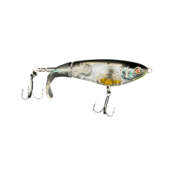 ABALONE SHAD