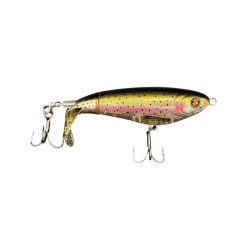Rainbow Trout