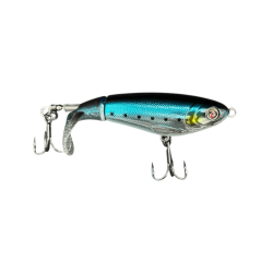 sardine