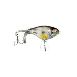 ABALONE SHAD